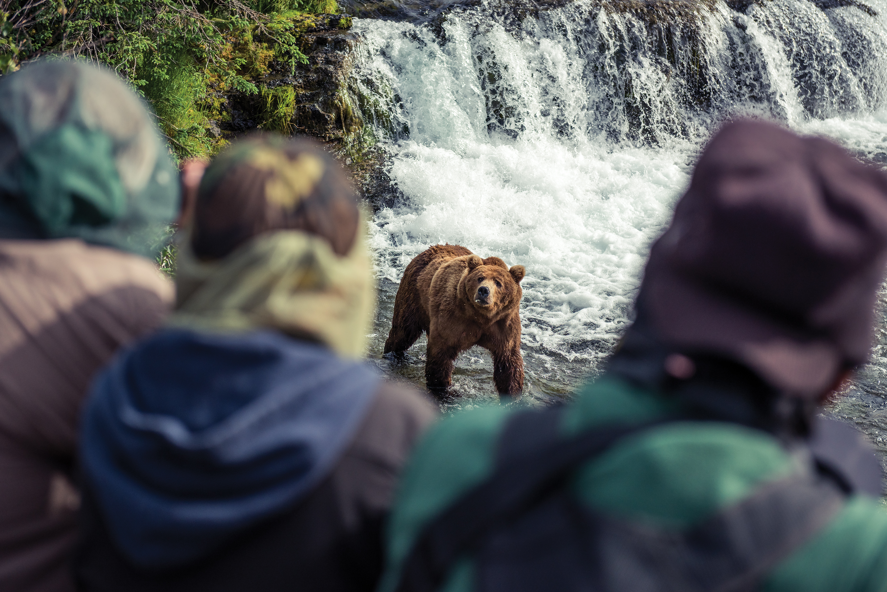 “What if” Alaska trip packages from Alaska Native owned companies.